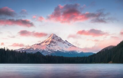 Communiqué de la SELF sur la prévention des risques professionnels