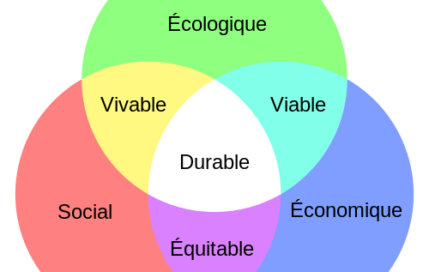 Appel à contribution pour la revue Psychologie Française